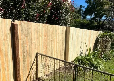 Timber paling fences Alstonvale